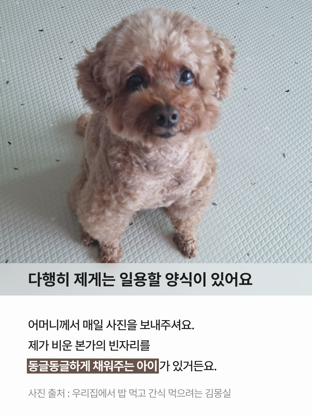 힘들 때 몰래 켜보는 힐링 테라피 4