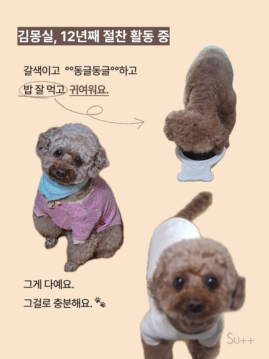 힘들 때 몰래 켜보는 힐링 테라피 5