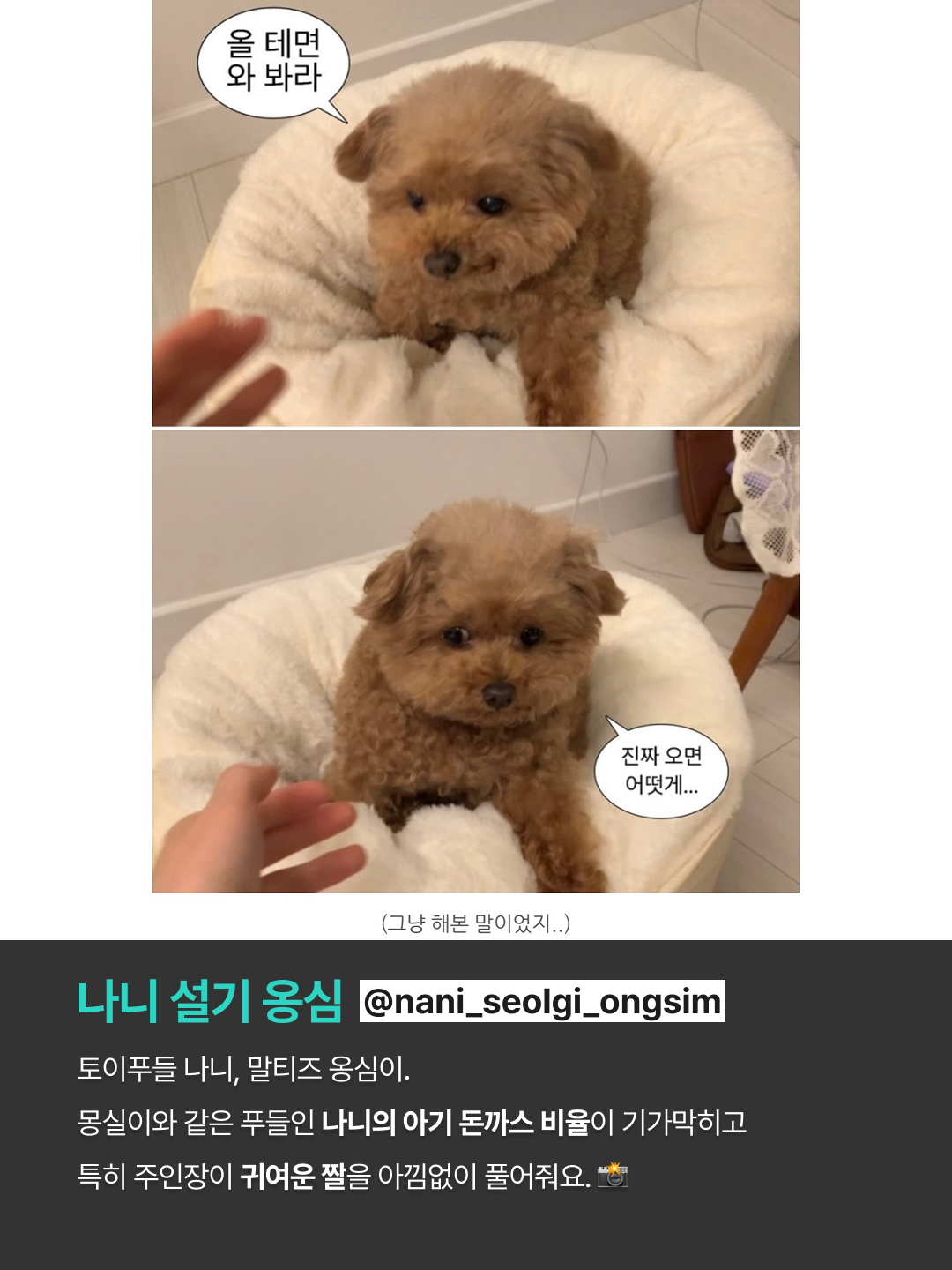 힘들 때 몰래 켜보는 힐링 테라피 7