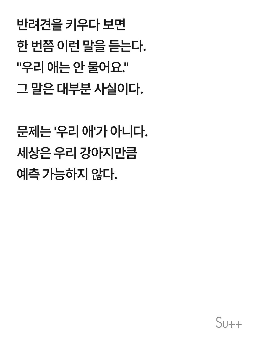 강아지를 사랑하는 사람이 목줄을 해야 하는 이유 2