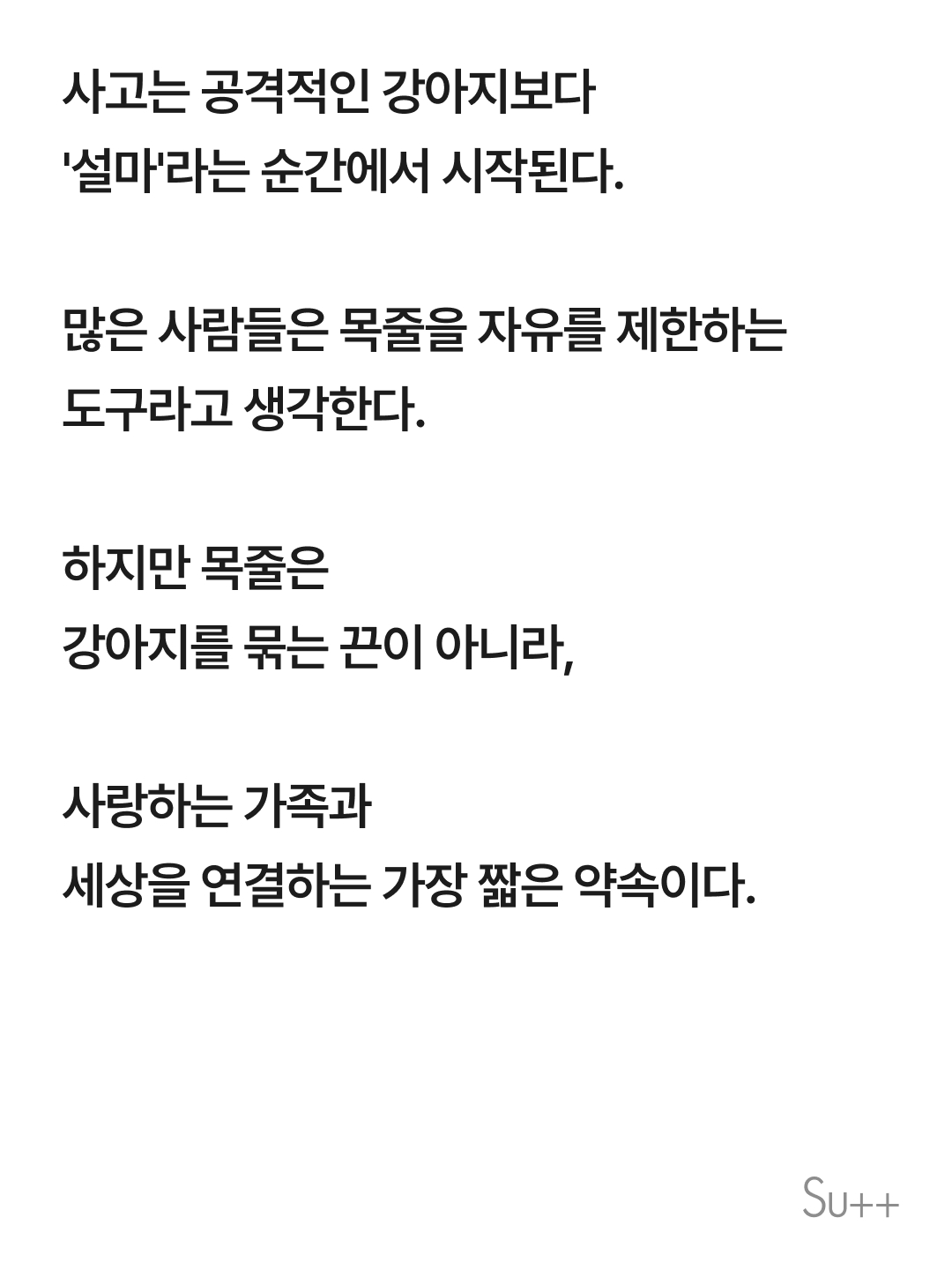 강아지를 사랑하는 사람이 목줄을 해야 하는 이유 4