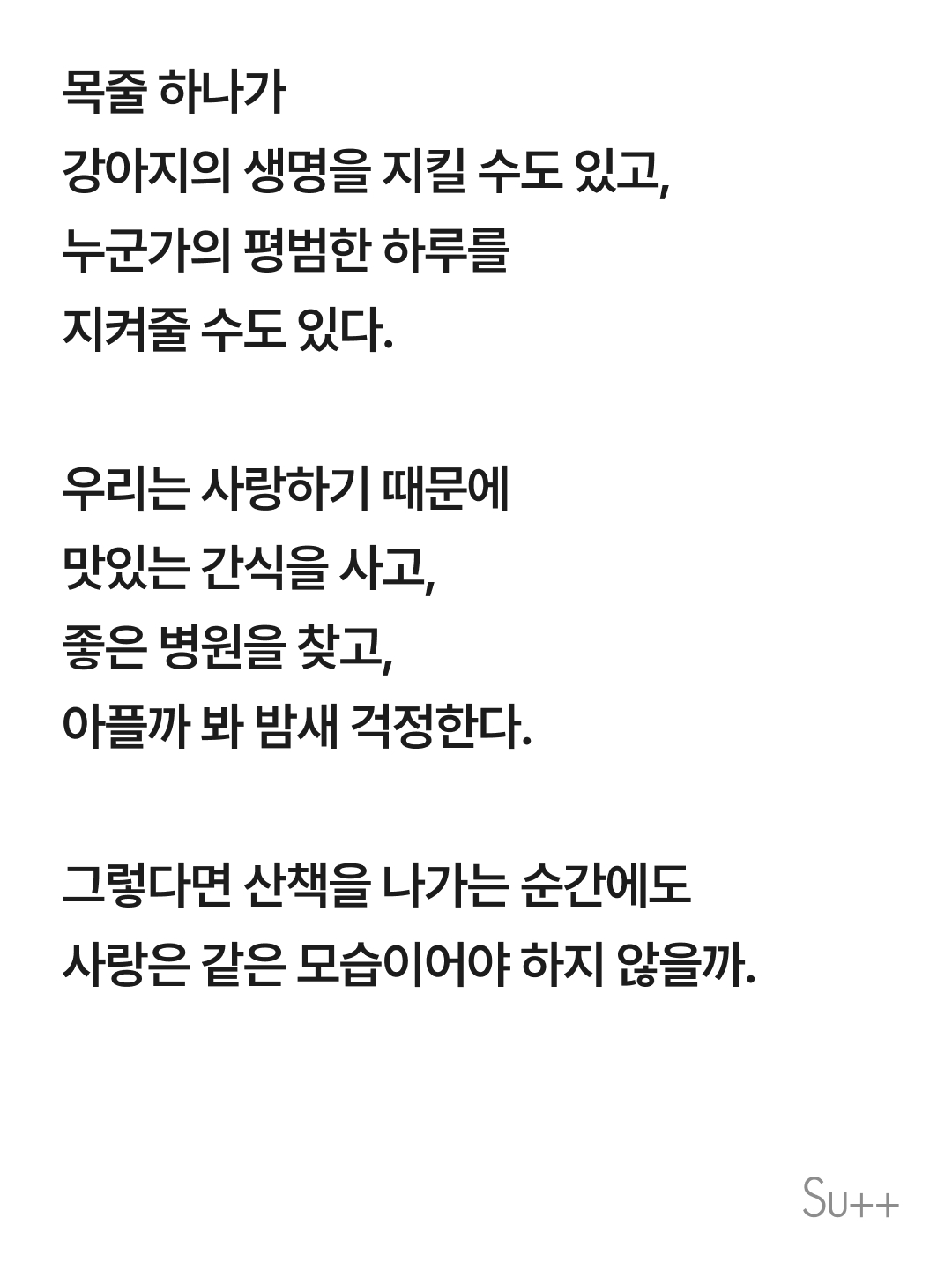 강아지를 사랑하는 사람이 목줄을 해야 하는 이유 6