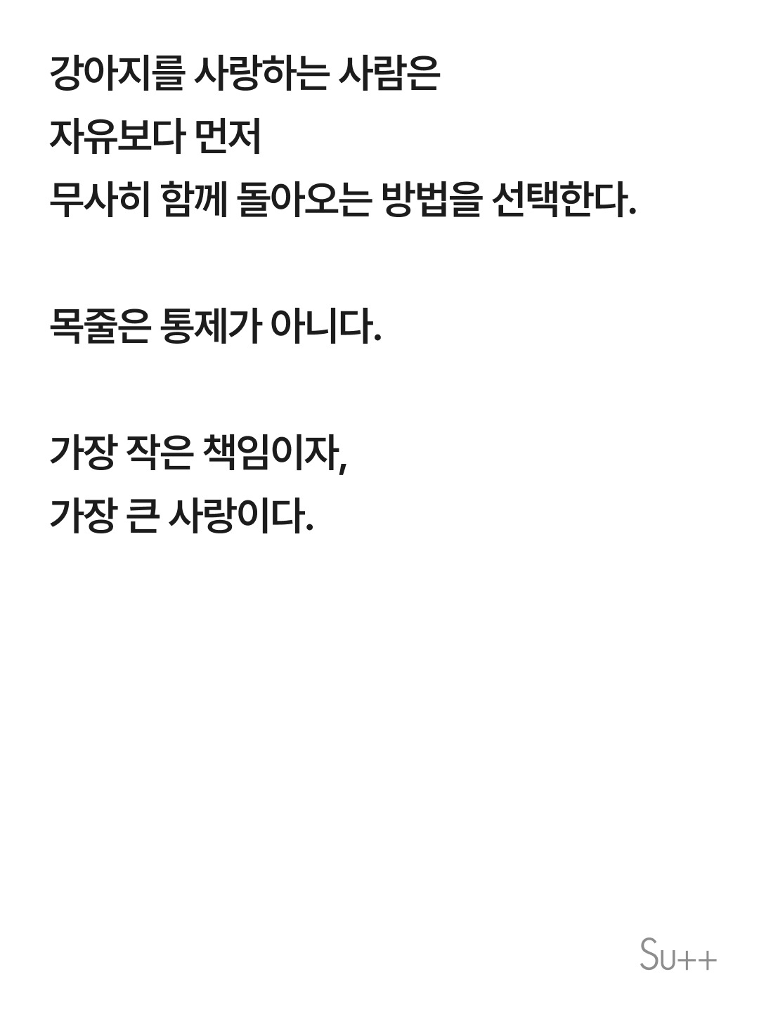강아지를 사랑하는 사람이 목줄을 해야 하는 이유 7