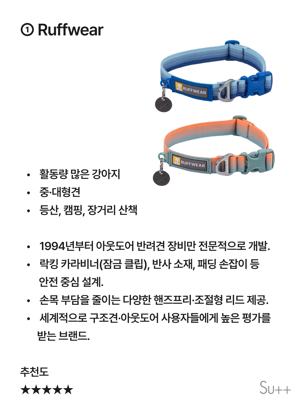 강아지를 사랑하는 사람이 목줄을 해야 하는 이유 8