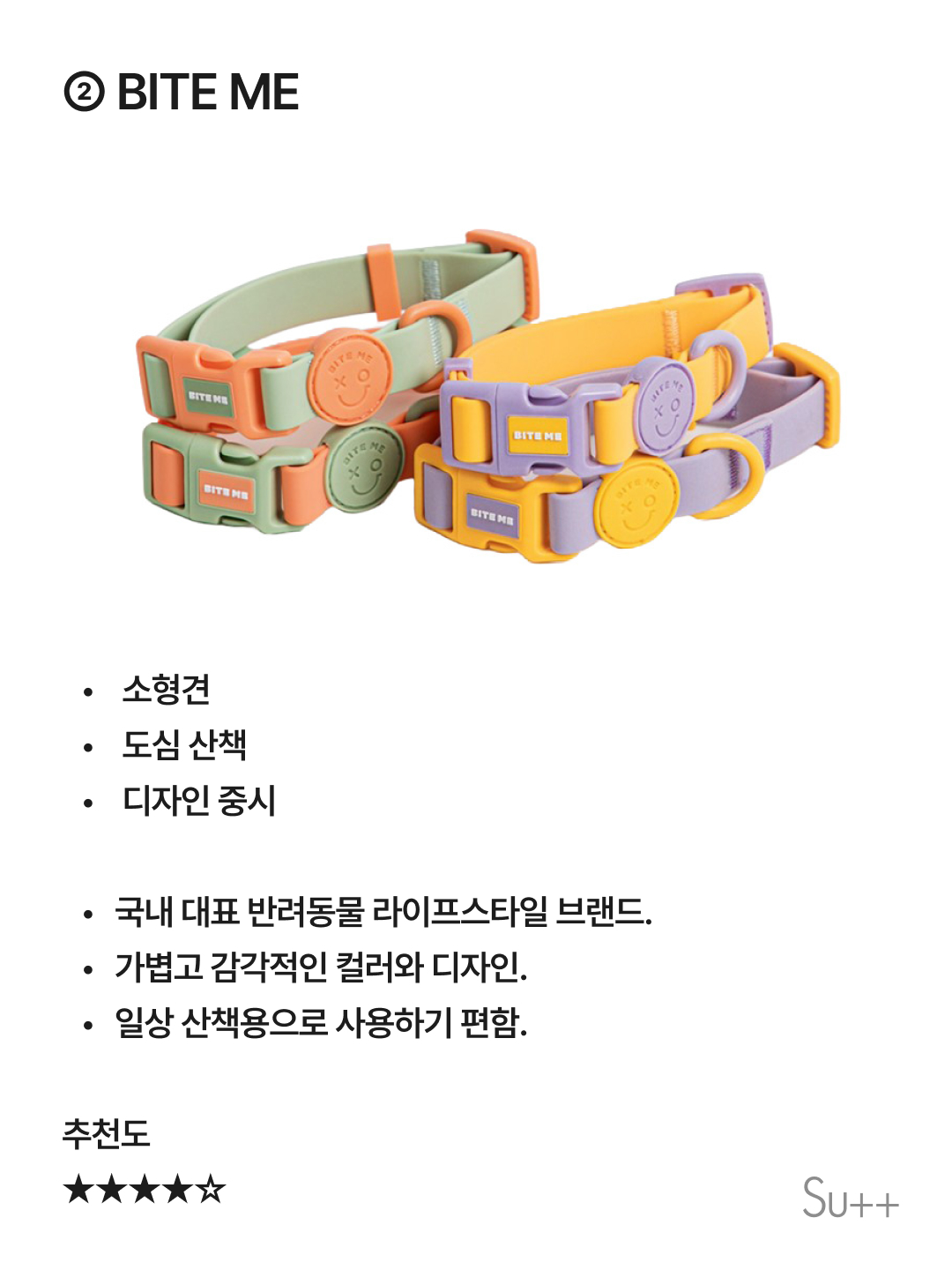 강아지를 사랑하는 사람이 목줄을 해야 하는 이유 9