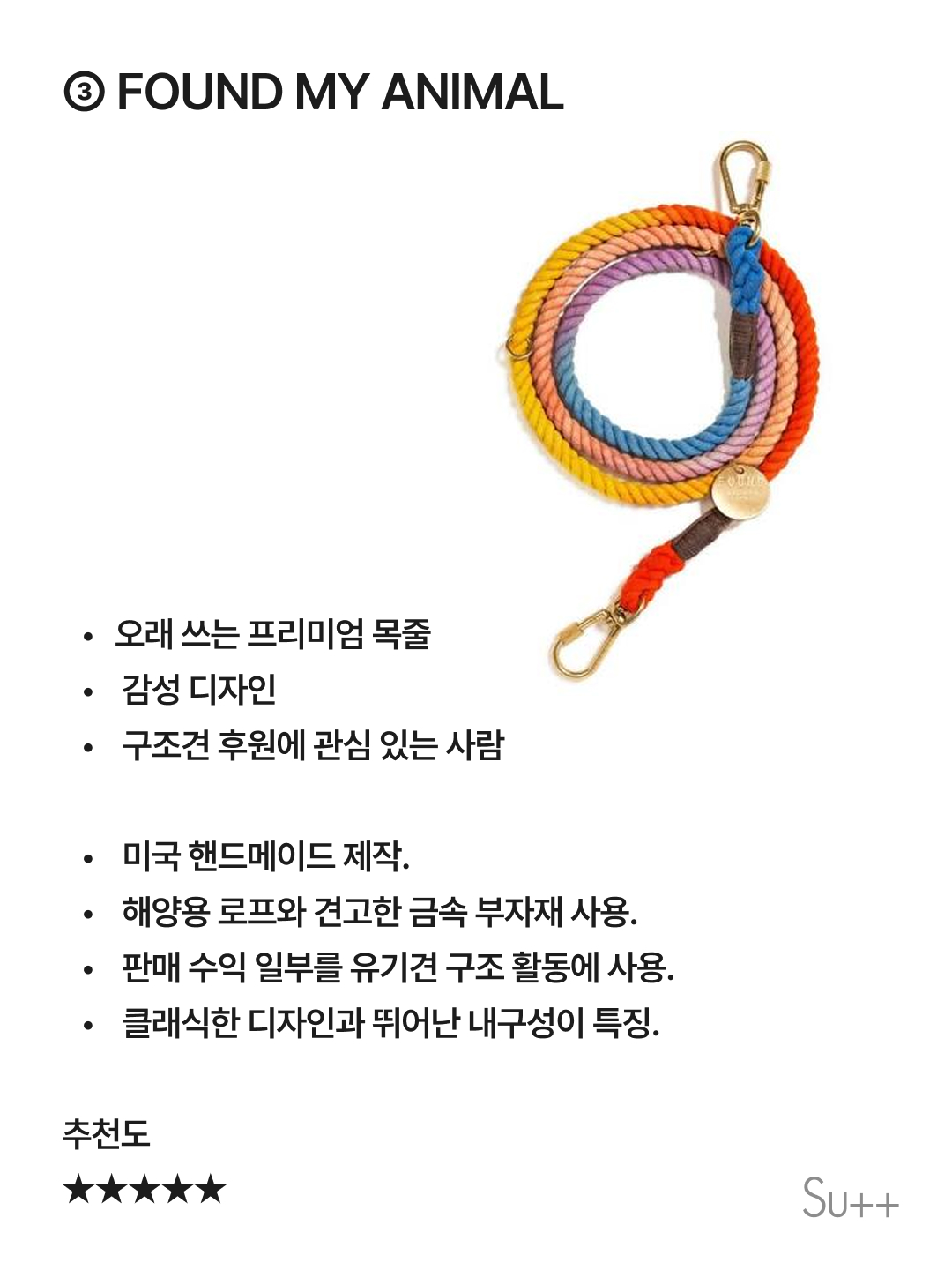 강아지를 사랑하는 사람이 목줄을 해야 하는 이유 10